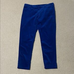 Banana Republic Velvet Blue Pants